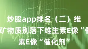 炒股app排名（二）维生素和矿物质别落下维生素E像“催化剂”